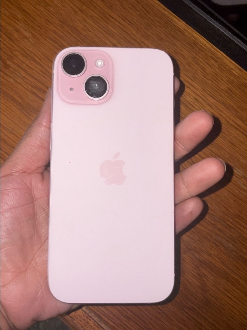 Apple iPhone Pink Dual-Camera Back